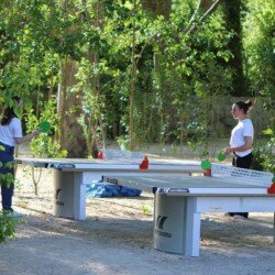 Différentes activités camping Lodges & Nature Avignon